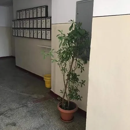 아파트 Eternal Sunshine Năvodari